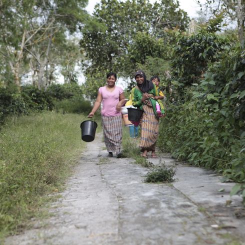 Terroir Indonesia Sumatra Orang Utan