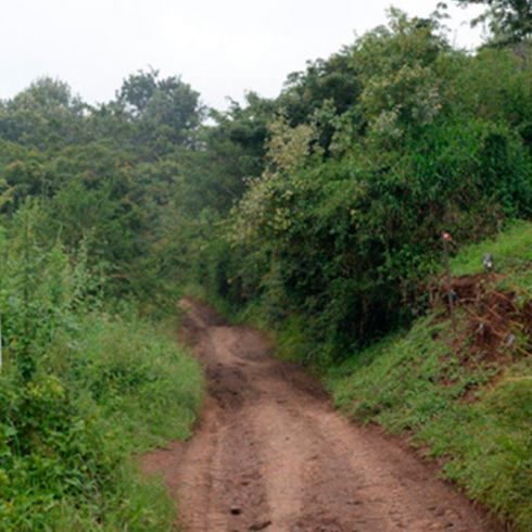 Terroir Tansania