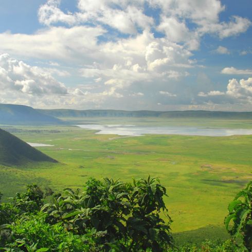 Terroir Tanzania