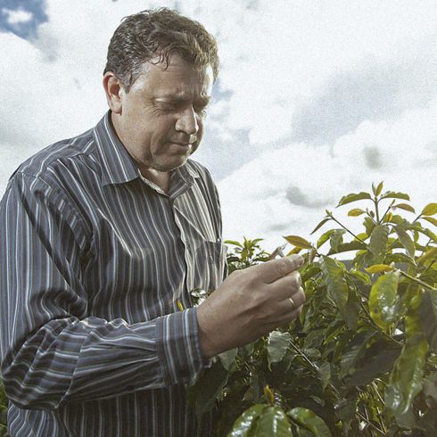 Terroir Brasil Capoeirinha