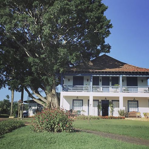 Terroir Brasil Capoeirinha
